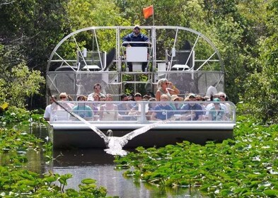 Excursions et randonnées en bateau pneumatique dans les Everglades