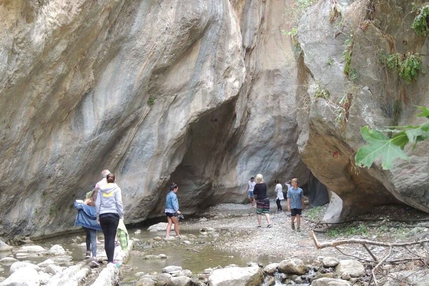 Picture 4 for Activity Hersonissos: South Eastern Crete & Sarakinas Gorge Day Tour