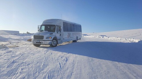 Yellowknife: City Tour