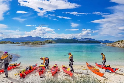 Fra Tromsø: Kajaktur med frokost og sauna på Sommarøy