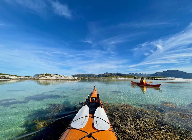 Picture 5 for Activity From Tromsø: Kayak trip with lunch and sauna at Sommarøy