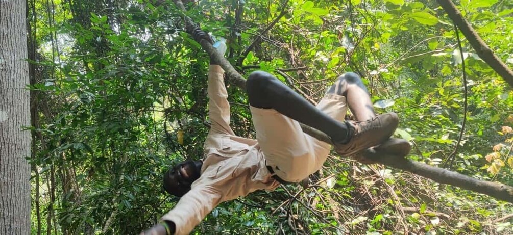 Chimpanzee track in Gombe national park