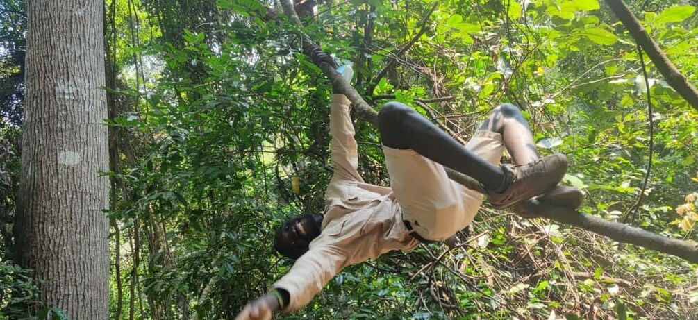 Chimpanzee track in Gombe national park