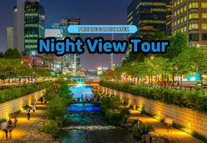 Seoul: Private Night View Tour
