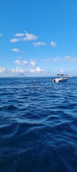 Picture 6 for Activity Mauritius: Snorkel and Swim with Dolphins on Speedboat Tour