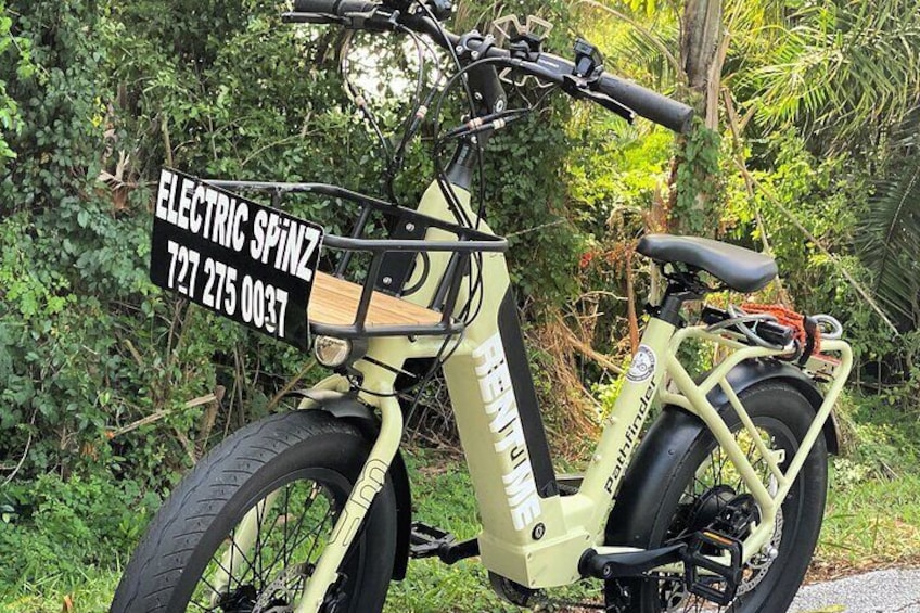 Half Day Electric Bike Rental on the Pinellas Trail