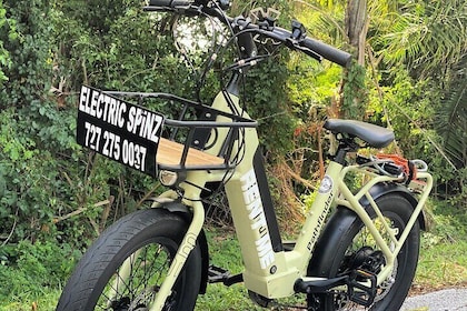 Demi-journée de location de vélos électriques sur le sentier Pinellas