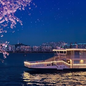 Seúl: Crucero Nocturno Guiado por el Río Han y Picnic en el Parque Hangang