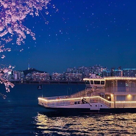 Seoul: Han River Guided Night Cruise and Hangang Park Picnic