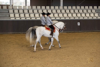 Seville: Horse Show Entry Ticket. Optional Stud Farm Visit