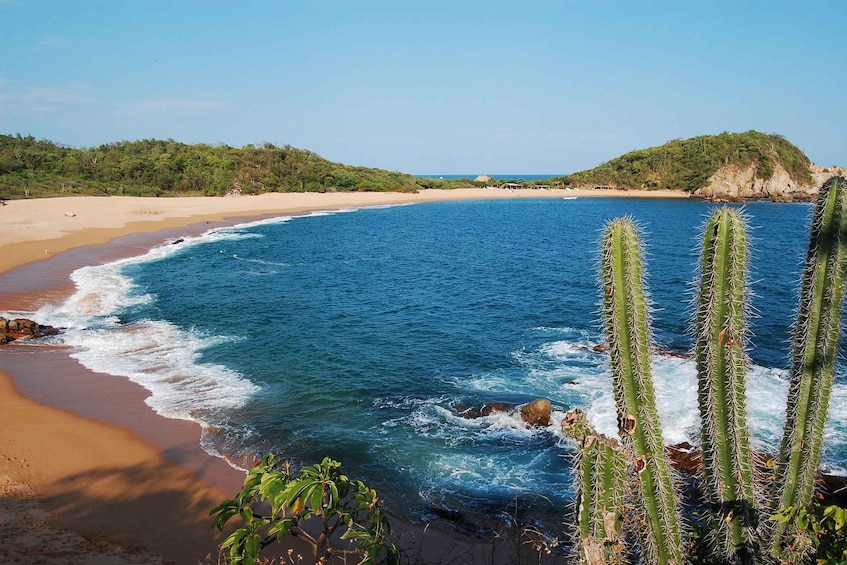 Picture 3 for Activity DISCOVERY HUATULCO FULL DAY