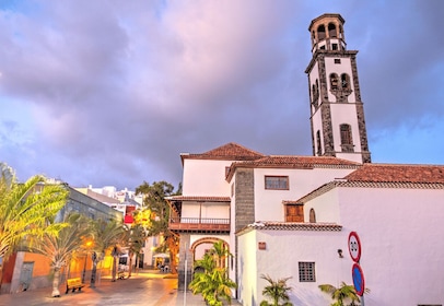 Tenerife: Excursión Privada de un Día por la Isla con Recogida en el Hotel