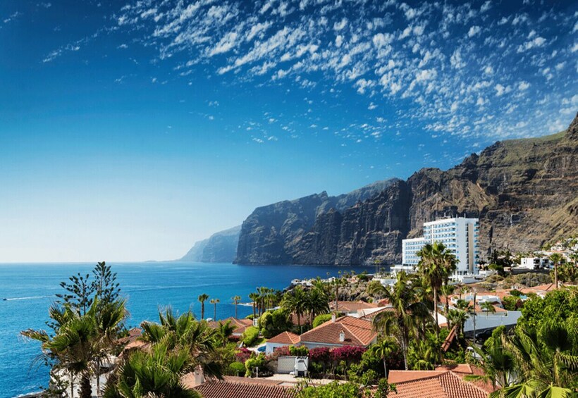 Picture 3 for Activity Tenerife: Private Day Tour of the Island with Hotel Pickup