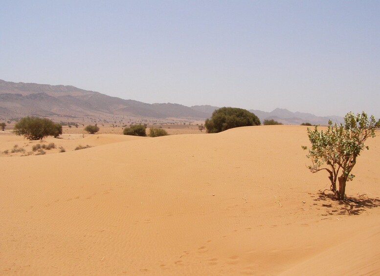 Picture 2 for Activity From Taghazout: Sahara Desert Day Trip in a Jeep with Lunch