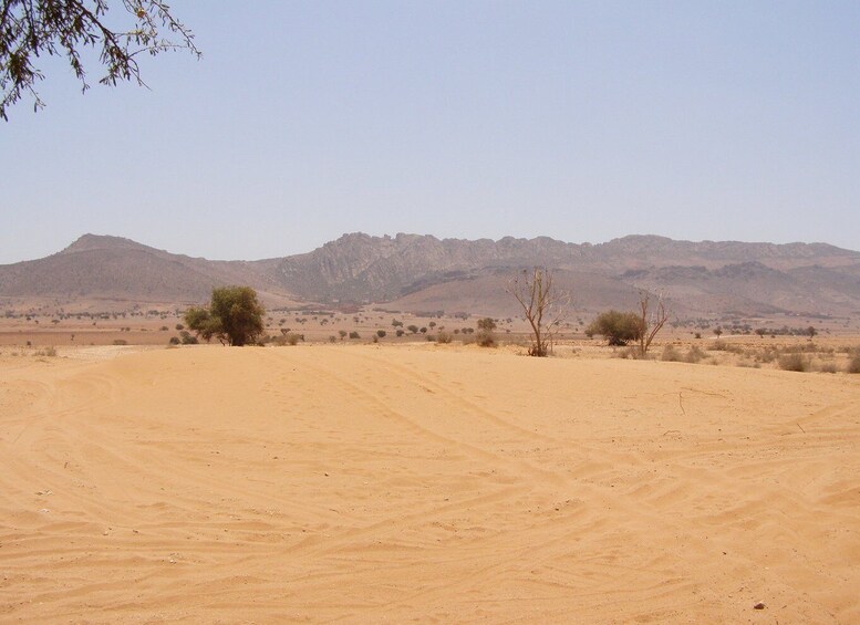 Picture 3 for Activity From Taghazout: Sahara Desert Day Trip in a Jeep with Lunch