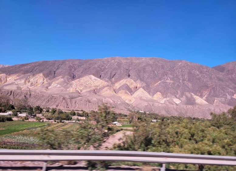 Picture 13 for Activity From Salta: Cafayate, Cachi, & Hornocal 3-Day Tour