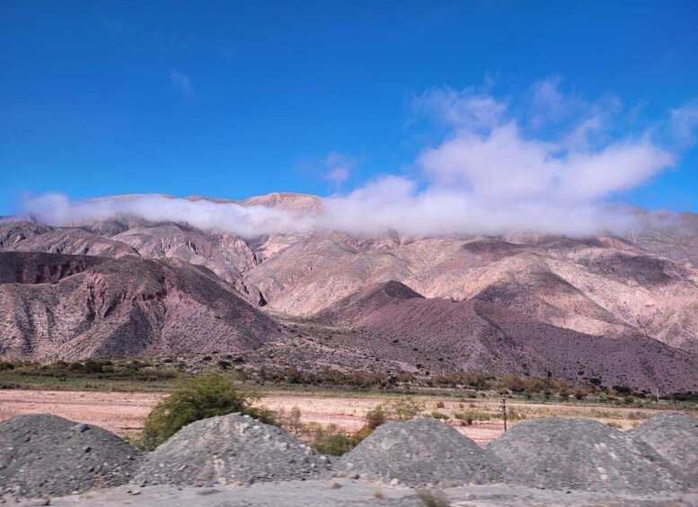 Picture 12 for Activity From Salta: Cafayate, Cachi, & Hornocal 3-Day Tour