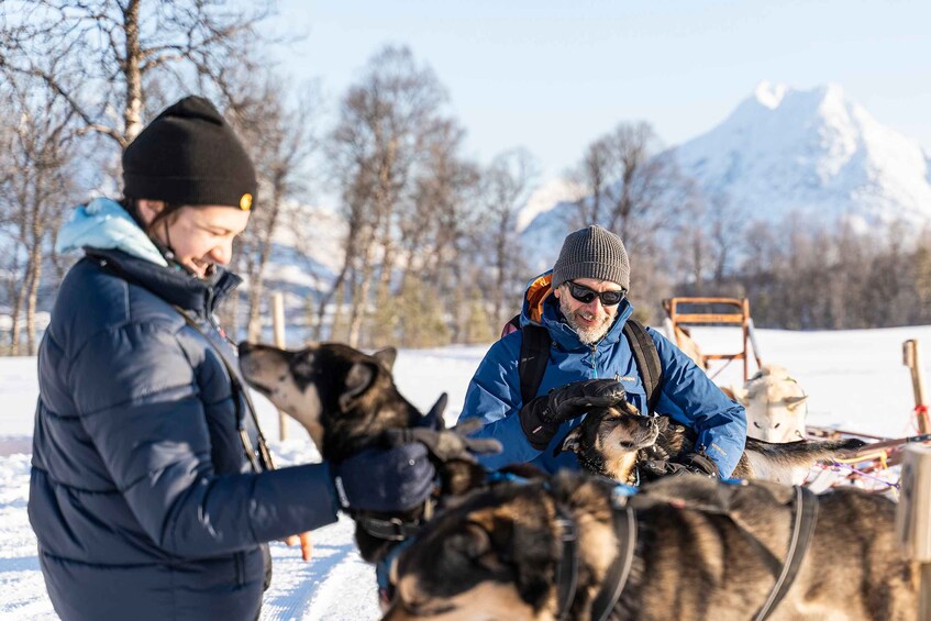 Picture 5 for Activity From Tromsø: Husky Experience with Self-Drive Dog Sled Ride