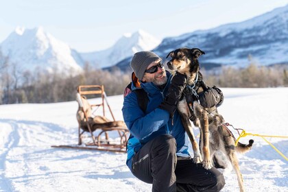 Desde Tromsø: Experiencia Husky con paseo en trineo por perros sin conducto...