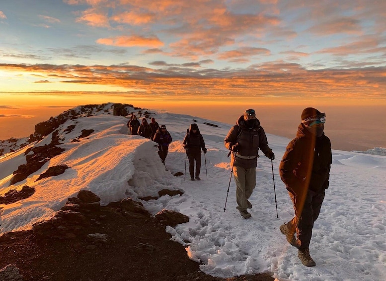 Picture 2 for Activity 7 Days Kilimanjaro, Rongai route