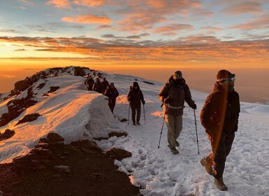 Ruta de 7 días por el Kilimanjaro y Rongai