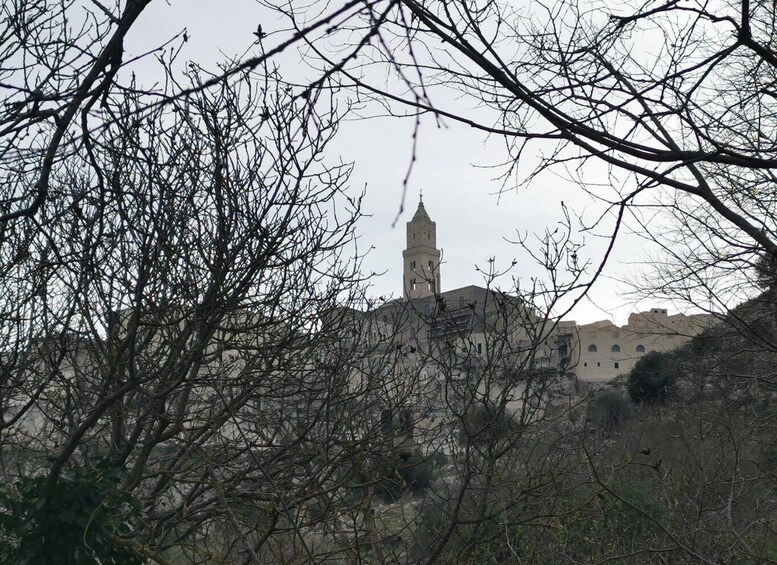 Picture 2 for Activity Matera: Hiking tour in the Canyon of the Gravina River