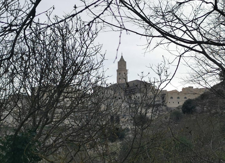 Picture 2 for Activity Matera: Hiking tour in the Canyon of the Gravina River