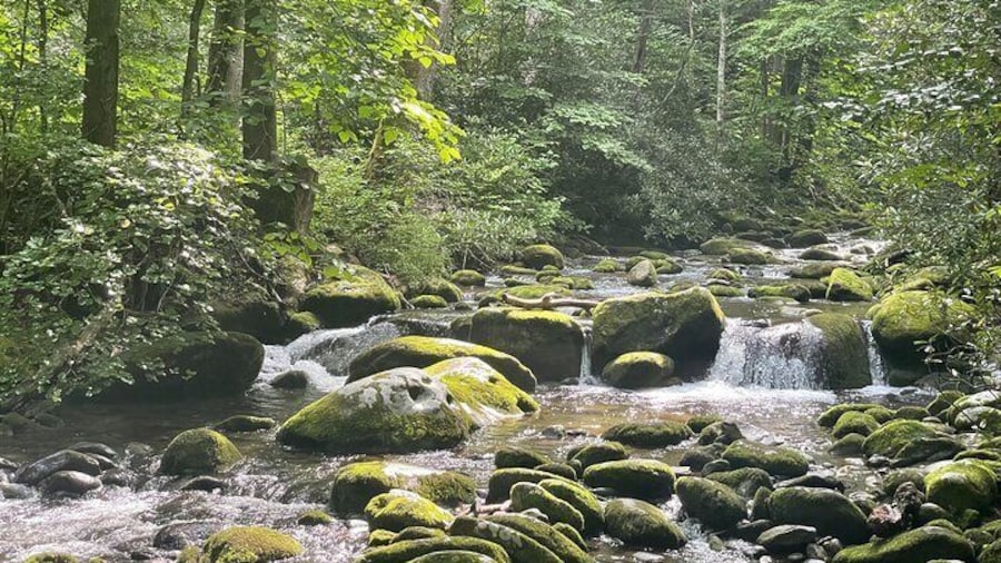 Smoky Mountains Roaring Fork Guided Sightseeing Tour by Jeep