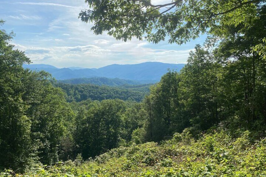 Smoky Mountains Roaring Fork Guided Sightseeing Tour
