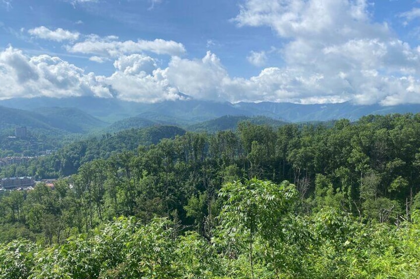 Smoky Mountains Roaring Fork Guided Sightseeing Tour