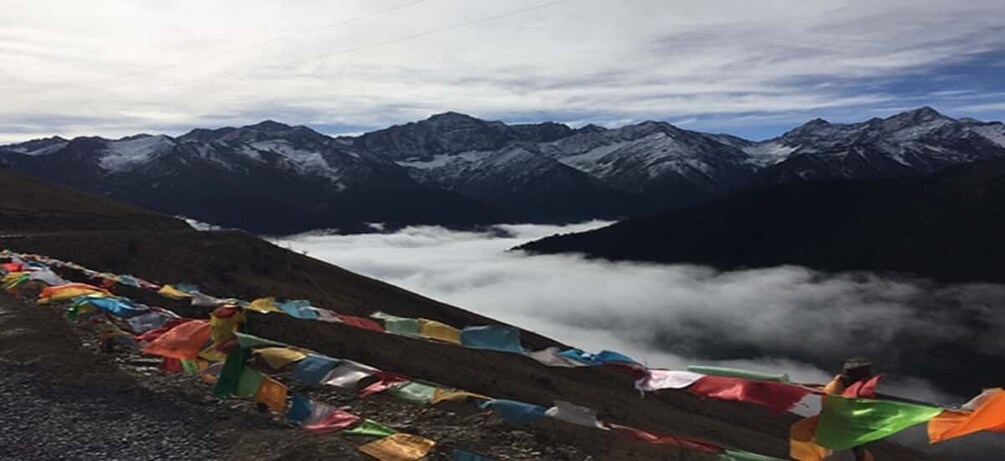 Picture 3 for Activity 2 days Mt. Siguniang+Wolong panda tour from Chengdu