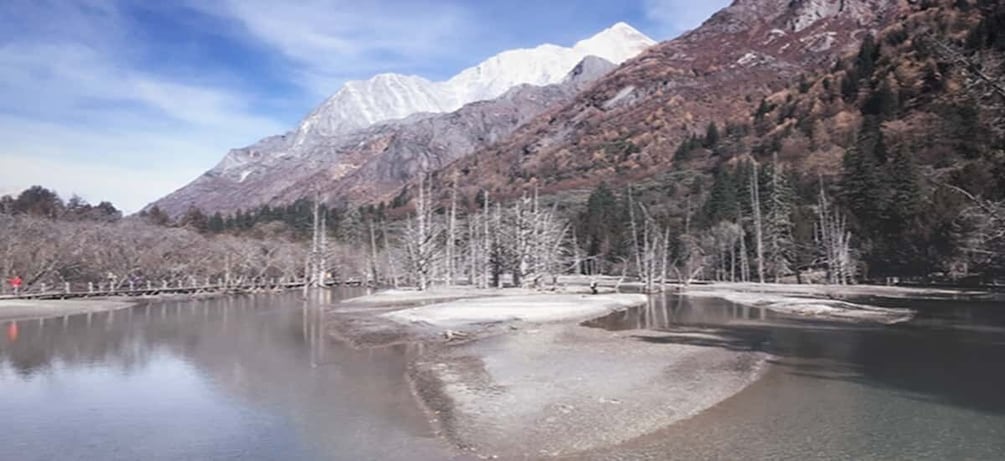 Picture 7 for Activity 2 days Mt. Siguniang+Wolong panda tour from Chengdu