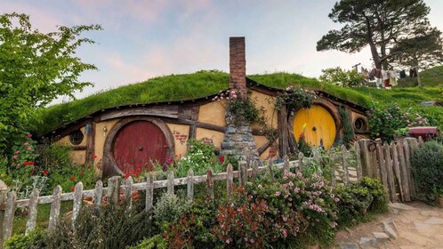 Auckland: LOTR, Hobbiton Film Set & Hamurana Spring Tour