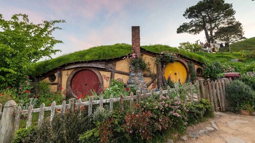 Auckland: LOTR, Hobbiton Film Set & Hamurana Spring Tour