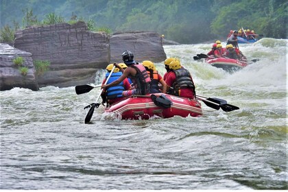 Kithulgala Thrills: White Water Rafting Bliss!