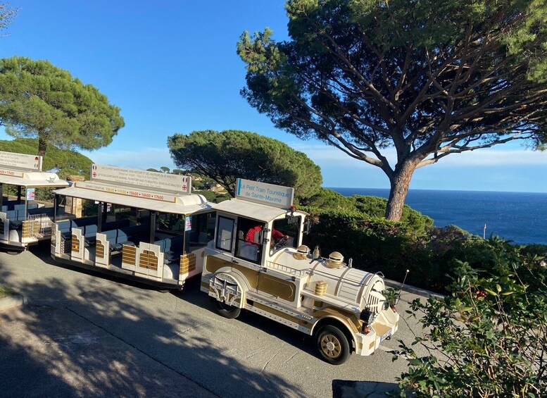 Picture 2 for Activity The Little Train of Sainte-Maxime