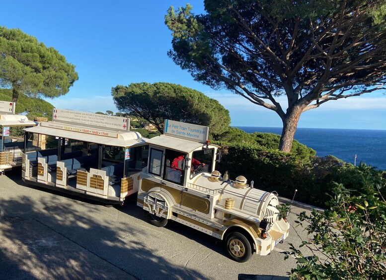 Picture 2 for Activity The Little Train of Sainte-Maxime