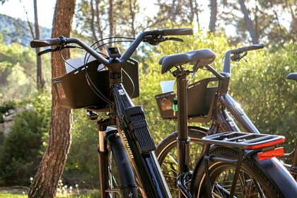 Aix En Provence: Bike or E-Bike Rental