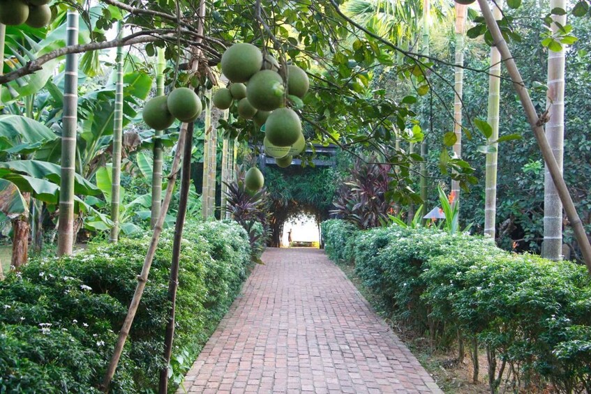 Picture 2 for Activity A peaceful day in Thuy Bieu village