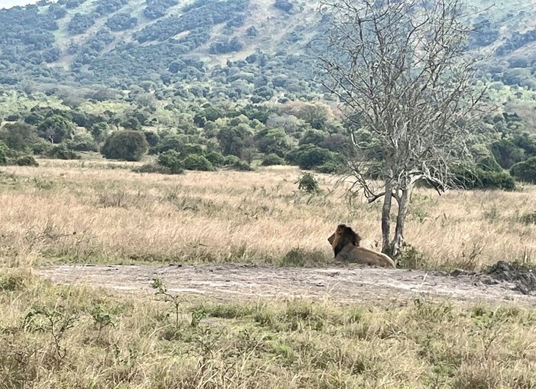 Picture 10 for Activity 2-Days Akagera Game Drive with a Boat Ride.