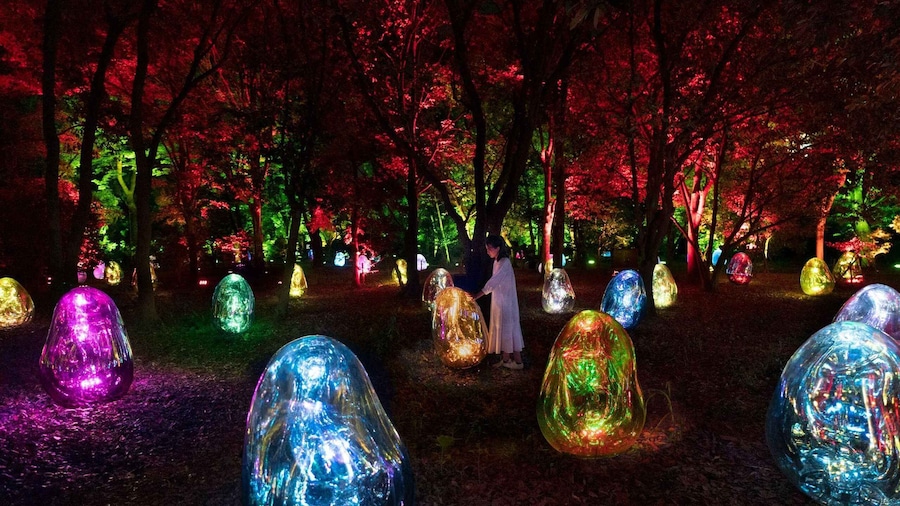 Osaka: teamLab Botanical Garden Entry Ticket