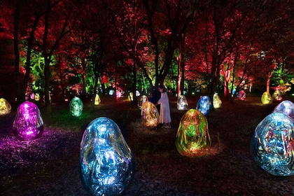 Osaka: teamLab Botanical Garden Entry Ticket