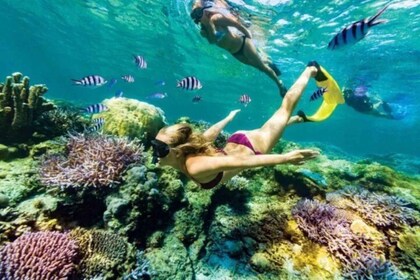 All-Inclusive: Bali Blue Lagoon Snorkeling with Waterfall