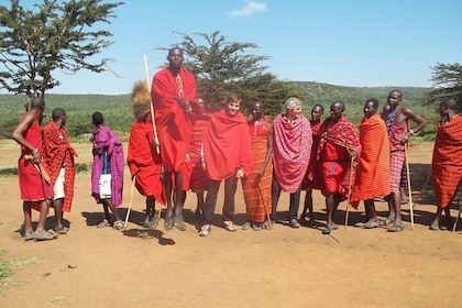 Maasai Mara Interactive Safaris