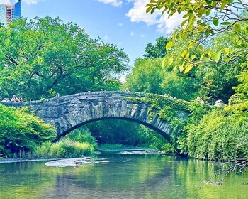 Ciudad de Nueva York: Solo en casa 2 y visita a Elfos en Central Park