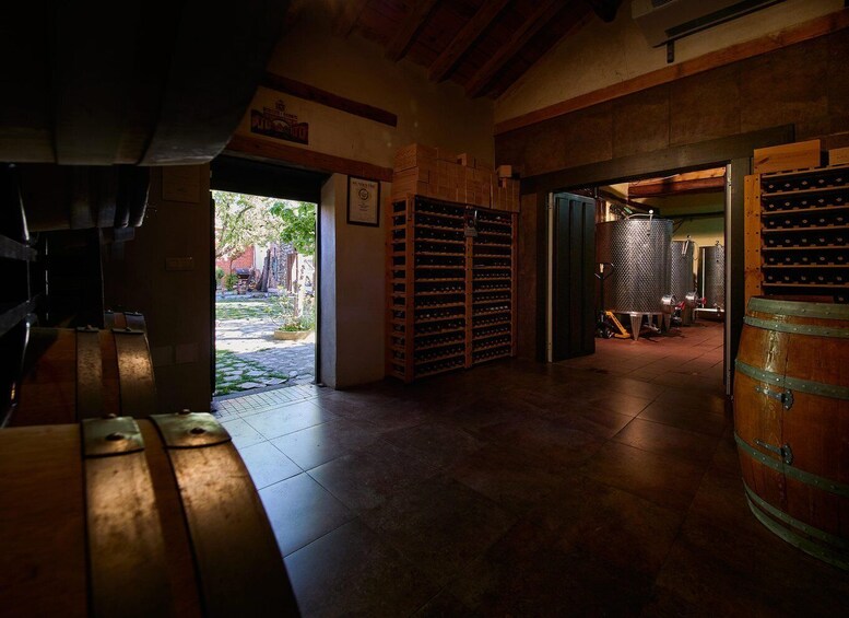Picture 6 for Activity Segovia: Winery Tour with Wine Tasting