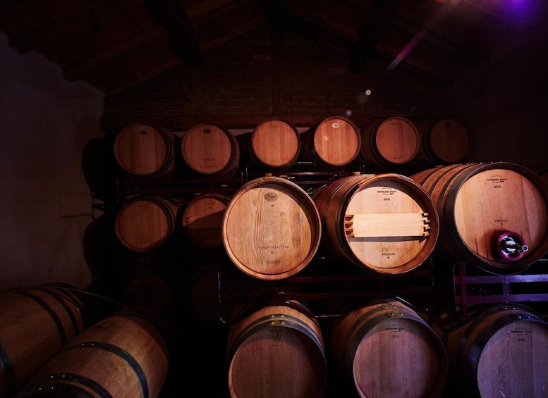 Picture 7 for Activity Segovia: Winery Tour with Wine Tasting