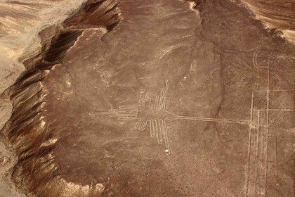 Die Nazca-Linien & Buggy in der Oase Huacachina - Ganzer Tag