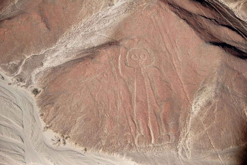 Picture 2 for Activity The Nazca lines & Buggy at Huacachina Oasis - Full day