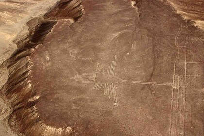 Les lignes Nazca et Buggy à Huacachina Oasis - Journée complète